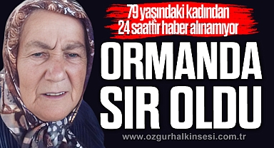 ORMANDA SIR OLDU