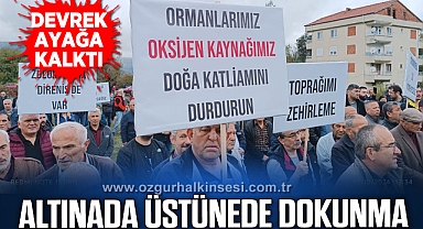 ORMANLARIMIZ ALTIN MADENİNDEN DAHA DEĞERLİ