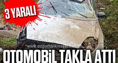 Otomobil Takla Attı: 3 YARALI