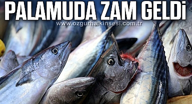 PALAMUDA ZAM GELDİ