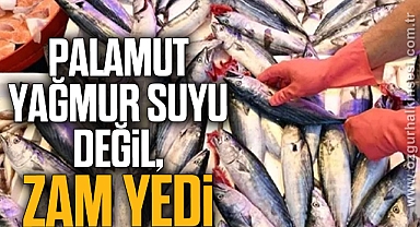 PALAMUT YAĞMUR SUYU DEĞİL, ZAM YEDİ