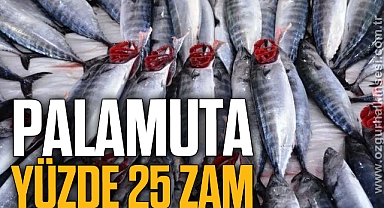 PALAMUTA YÜZDE 25 ZAM