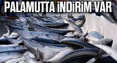 PALAMUTTA İNDİRİM VAR