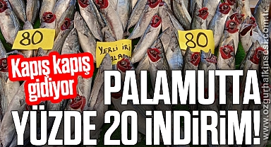 PALAMUTTA YÜZDE 20 İNDİRİM!
