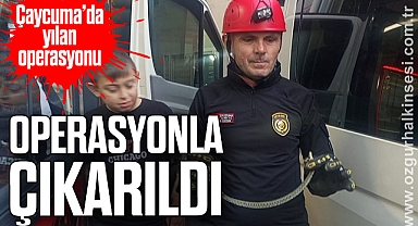 Park halinde minibüse giren yılan, itfaiyenin müdahalesiyle çıkarıldı