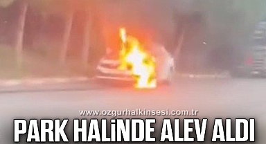 Park halindeki otomobil alev aldı