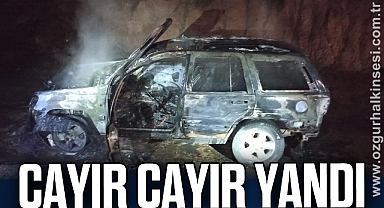 Seyir halindeki cip alevlere teslim oldu