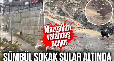 SÜMBÜL SOKAK SULAR ALTINDA