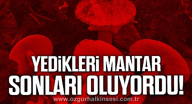 Yedikleri mantar sonları oluyordu!