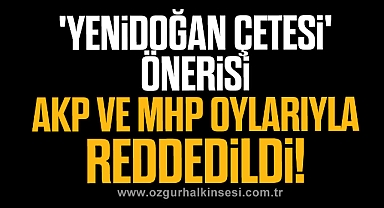 'Yenidoğan çetesi' önerisi AKP ve MHP oylarıyla reddedildi!