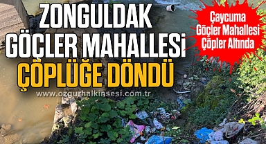 Zonguldak Göçler Mahallesi çöplüğe döndü