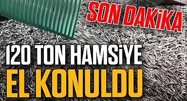 120 ton hamsiye el konuldu