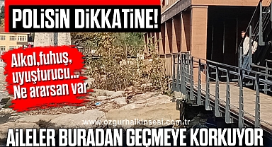 Alkol, fuhuş, uyuşturucu...Ne ararsan var 