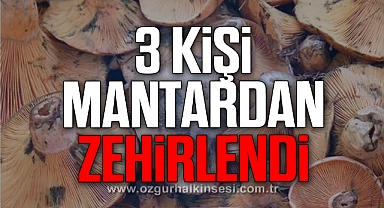 Çaycuma'da 3 kişi mantardan zehirlendi