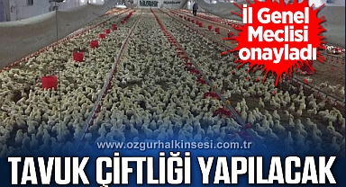 Çaycuma'ya Tavuk Çiftliği yapılacak