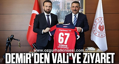 Demir'den Vali'ye ziyaret