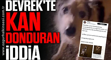 Devrek'te kan donduran iddia