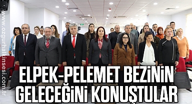 Elpek-pelemet bezinin geleceğini konuştular