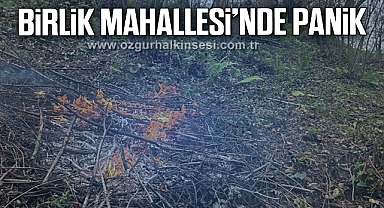 Fındık bahçesinde yakılan ateş paniğe neden oldu