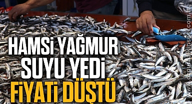 Hamsi yağmur suyu yedi, fiyatı düştü