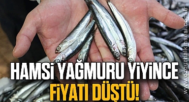 Hamsi yağmuru yiyince fiyatı düştü!