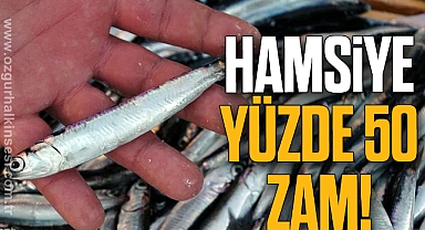 Hamsiye yüzde 50 zam!