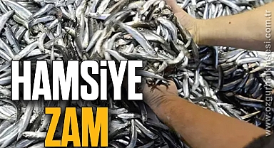 HAMSİYE ZAM