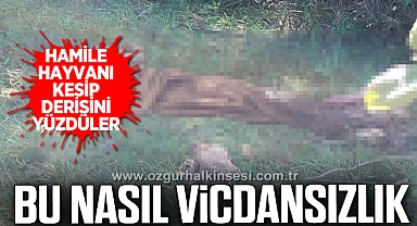 Hayvan hırsızlarına jandarmadan operasyon