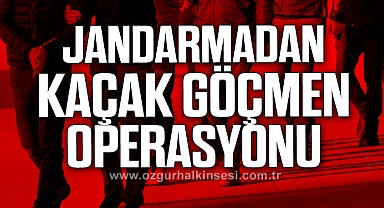 Jandarmadan kaçak göçmen operasyonu