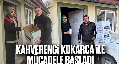 Kahverengi Kokarca ile mücadele başladı