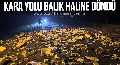 Kara yolu balık haline döndü