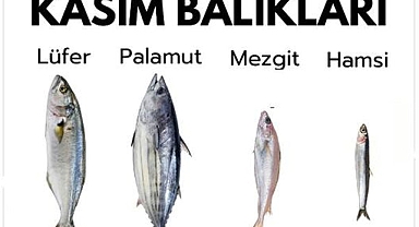 KASIM AYI BALIKLARI