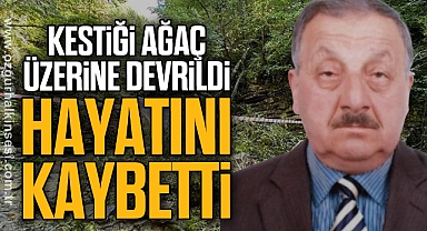 Kestiği ağaç üzerine devrildi: hayatını kaybetti