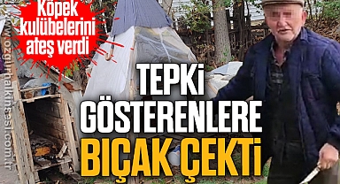 Köpek kulübelerini ateş verdi, tepki gösterene de bıçak çekti