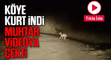 KÖYE KURT İNDİ MUHTAR VİDEOYA ÇEKTİ