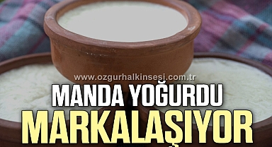 MANDA YOĞURDU MARKALAŞIYOR