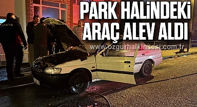 Park halindeki araç alev aldı