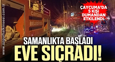 Samanlıkta başlayan yangın eve sıçradı