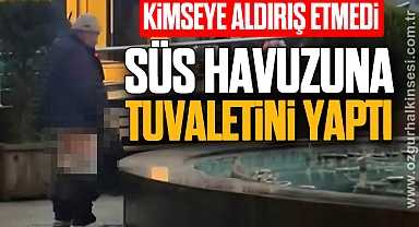Sokak ortasındaki süs havuzuna tuvaletini yaptı