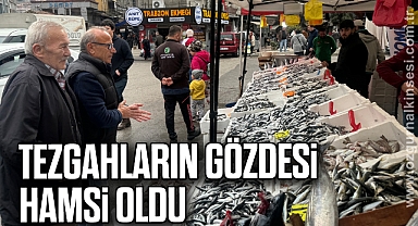 Tezgahların gözdesi hamsi oldu