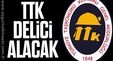 TTK delici alacak