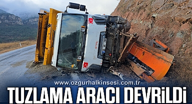 Tuzlama aracı devrildi