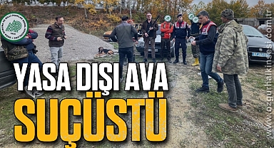 Yasa dışı ava suçüstü