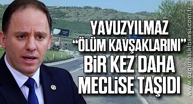 Yavuzyılmaz, “ölüm kavşaklarını” bir kez daha meclise taşıdı