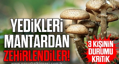 Yedikleri mantardan zehirlendiler!