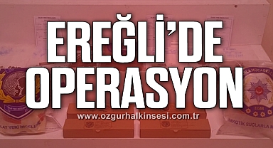 2 AYDA 26 ŞÜPHELİ YAKALANDI