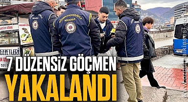 7 düzensiz göçmen yakalandı
