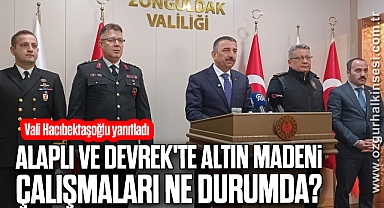 Alaplı ve Devrek'te Altın Madeni Çalışmaları Ne durumda?
