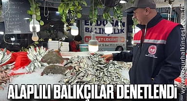 Alaplılı Balıkçılar Denetlendi