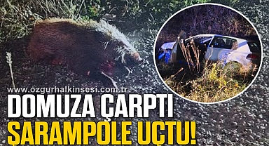 Domuza çarpan otomobil şarampole uçtu